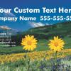 #229 Custom