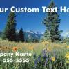 #230 Custom