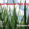 #227 Custom