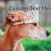 #219 Custom

Offered as
Jumbo 8½” x 5½”
Regular 4” x 6”
and Panoramic 6” x 11”