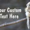 #222 Custom

Offered as
Jumbo 8½” x 5½”
Regular 4” x 6”
and Panoramic 6” x 11”