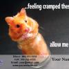 #31- Hamster

Offered as
Jumbo 8½” x 5½”
Regular 4” x 6”
and Panoramic 6” x 11”
