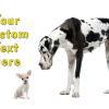 #212 Custom

Offered as
Jumbo 8½” x 5½”
Regular 4” x 6”
and Panoramic 6” x 11”