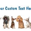 #217 Custom

Offered as
Jumbo 8½” x 5½”
Regular 4” x 6”
and Panoramic 6” x 11”