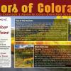 #427: Colors of Colorado
Same info as postcards #262, #263 & #264 - Just new layout
This postcard design is NOT AVAILABLE in a 4”x6” Layout