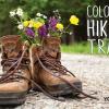 #523 Hiking Trails
In Colorado

Offered as
Jumbo 8½” x 5½” ONLY

All hiking postcards (132, 522, 523, 524, 525) have same back - 