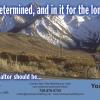 #20 Biking Colorado
"Fast & Determined"

Offered as
Jumbo 8½” x 5½” ONLY

Biking Colorado postcards (20, 96 & 528) have same back - 